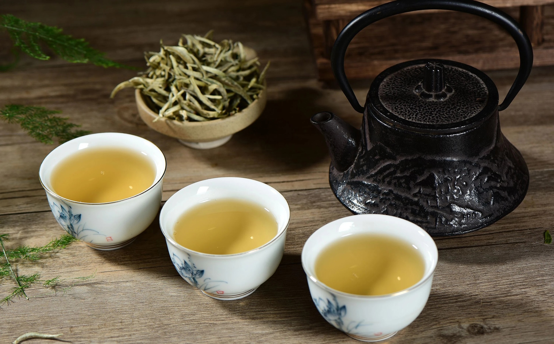 6 Best White Teas Expert Reviews [Upd. Summer 2023]